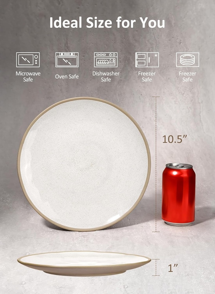 yedio-105-inch-ceramic-dinner-plates-set-2.jpg