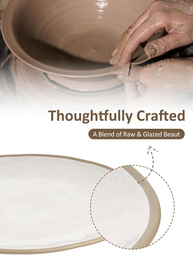 yedio-105-inch-ceramic-dinner-plates-set-3.jpg