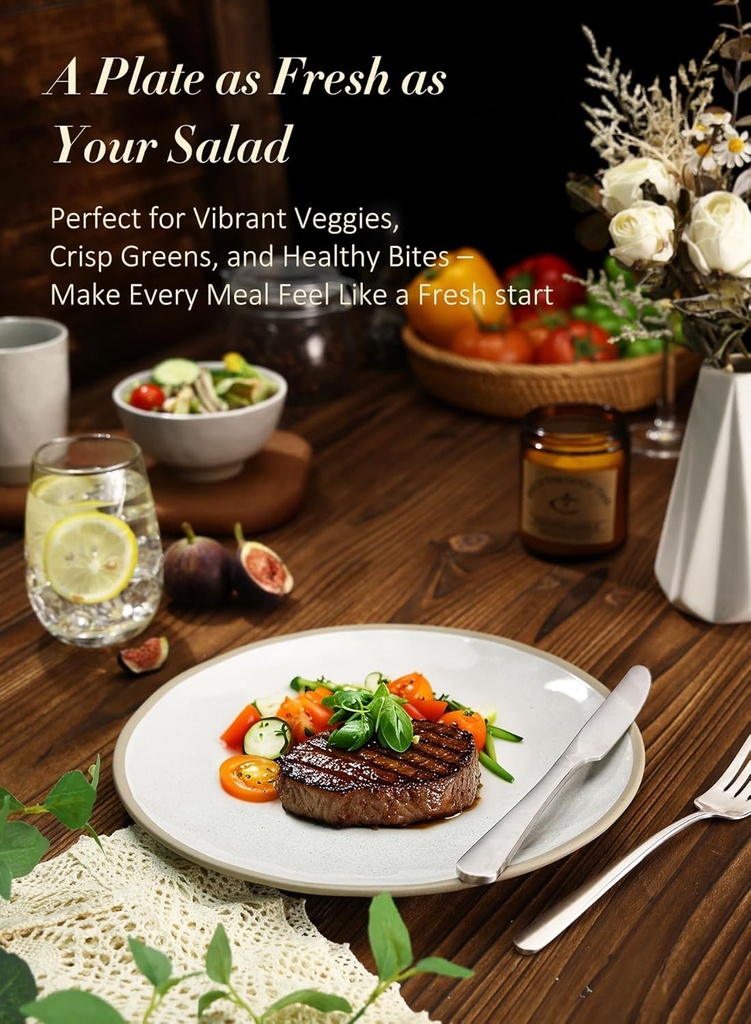 yedio-105-inch-ceramic-dinner-plates-set-4.jpg