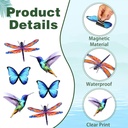 6-pcs-screen-door-magnets-double-sided-b-5.jpg