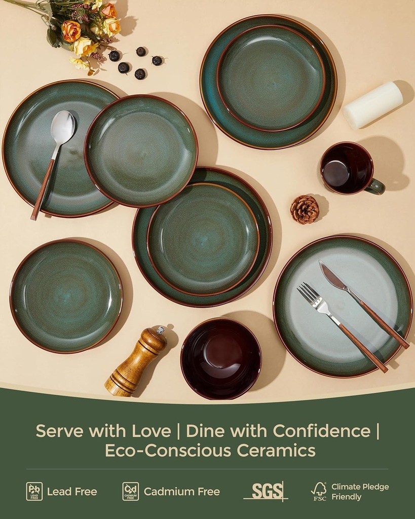 stoneware-dinner-plates-set-of-6-ceramic-4.jpg
