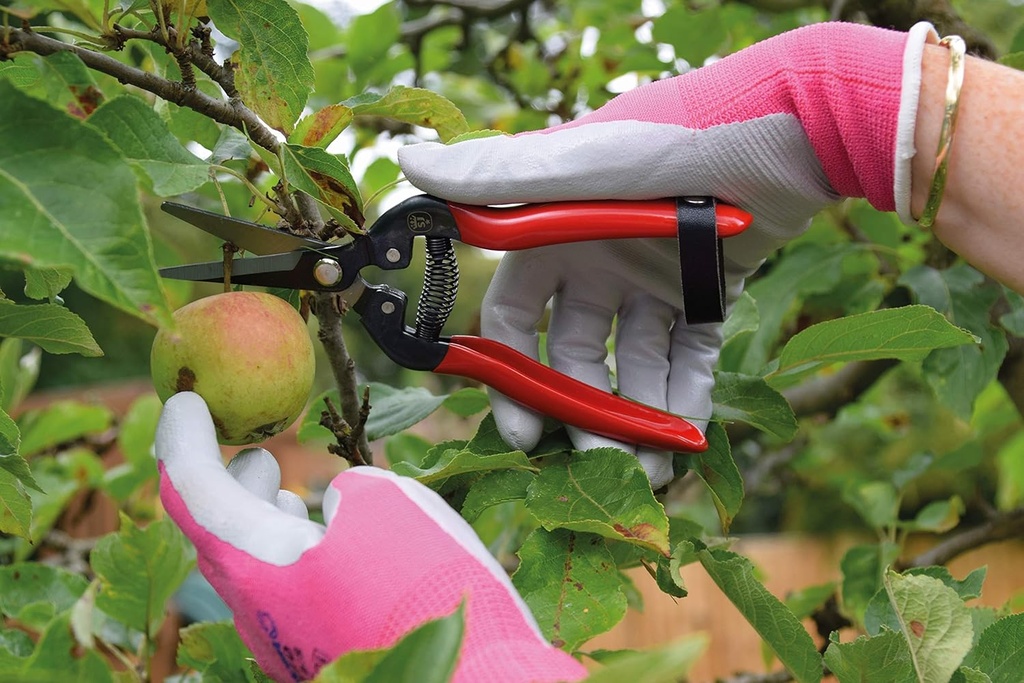 spear-jackson-4949fp-fruit-pruners-red-p-2.jpg