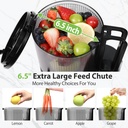 cold-press-juicer-65-extra-large-feed-ch-2.jpg