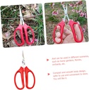 gardening-tool-flower-arranging-pruning--2.jpg