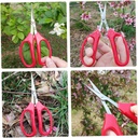 gardening-tool-flower-arranging-pruning--3.jpg