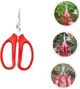 gardening-tool-flower-arranging-pruning--5.jpg
