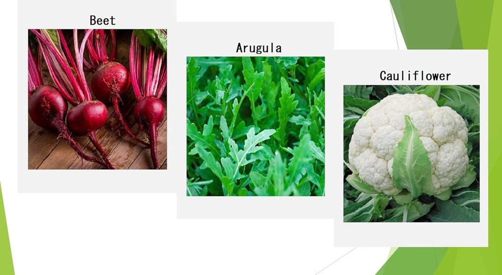 premium-winter-vegetable-seeds-for-plant-5.jpg