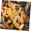 corn-shovel-garden-tiller-hand-tools-col-3.jpg