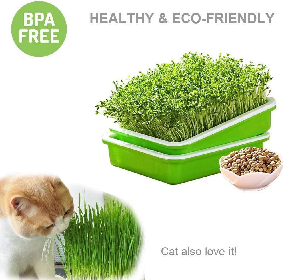 sunpro-2-pack-seed-sprouter-tray-bpa-fre-4.jpg