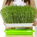 sunpro-2-pack-seed-sprouter-tray-bpa-fre-5.jpg