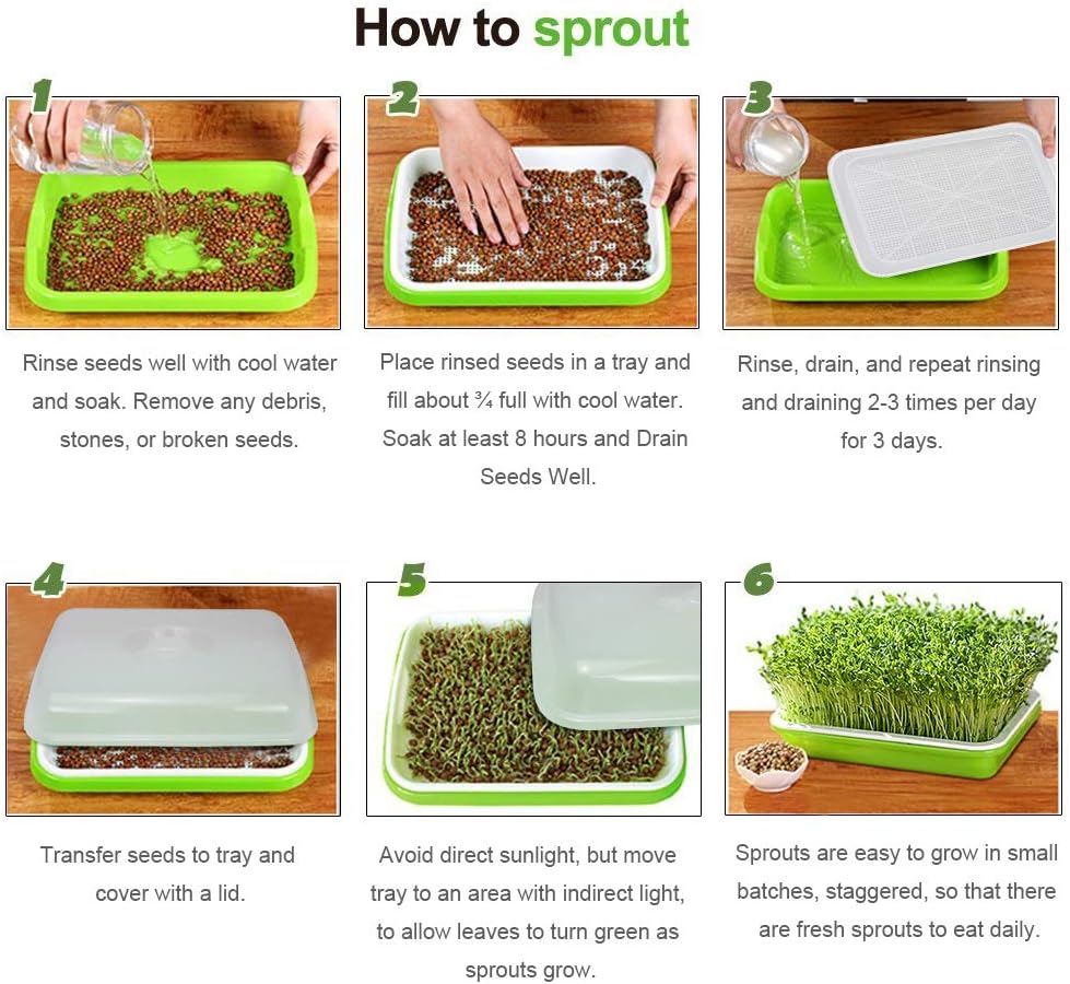 sunpro-2-pack-seed-sprouter-tray-bpa-fre-6.jpg