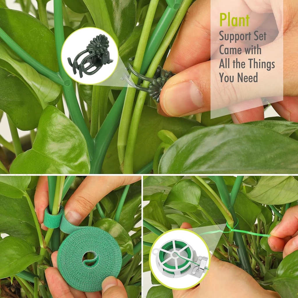 6-pack-plant-support-stakes-for-indoor-p-6.jpg
