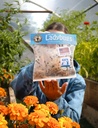 natures-good-guys-1500-live-ladybugs---g-6.jpg
