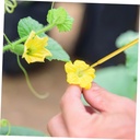 besportble-500pcs-manual-pollinator-tool-6.jpg