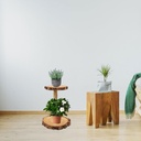 homsfou-wood-cupcake-stand-2-tiered-rust-3.jpg
