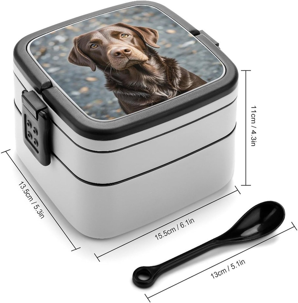adult-double-layer-bento-box-brown-labra-2.jpg
