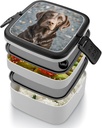 adult-double-layer-bento-box-brown-labra-4.jpg