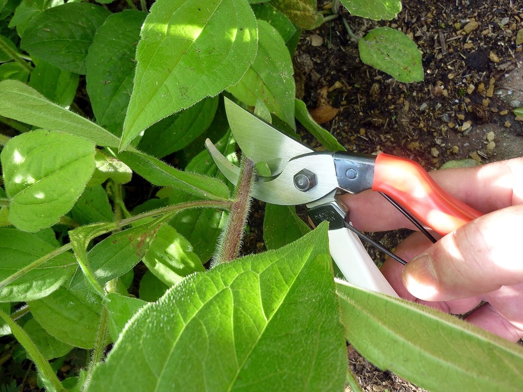 okatsune-101-7-inch-bypass-pruners-small-2.jpg