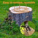 25-pcs-copper-nails-for-killing-trees-st-5.jpg