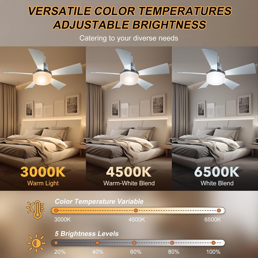 socket-fan-light-with-remote-205-small-c-3.jpg