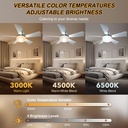 socket-fan-light-with-remote-205-small-c-3.jpg