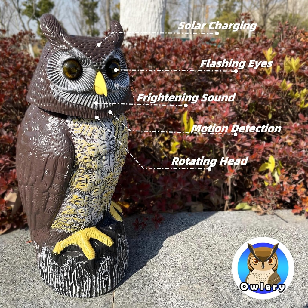 solar-owl-guard-with-motion-detector-fla-3.jpg