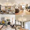 dllt-caged-ceiling-fan-with-lights-26-bl-2.jpg