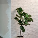 20-pcs-white-thin-brick-veneers-24in-x-7-4.jpg