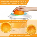 citrus-juicer-machines-with-2-coneselect-3.jpg