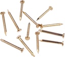 OMOTOOL Hardware Nail Assortment Kit (300pcs), Brass Plated Nails for Hanging Pictures (15MM)