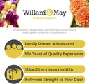 Complete Spring Flower Bulb Garden - 50 Bulbs for 50 Days of Continuous Blooms (Spring Color from March Through June) - Easy to Grow Fall Planting Bulbs by Willard & May
