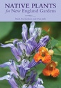 Plantas nativas para jardins da Nova Inglaterra