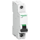Schneider ACT 9 4 AMP 1 POLO MCB (Multicolor) (ACT 9 'C' CURVE)