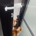Cat Door Latch, Cat Door Stopper Lock to Keep Dogs Out of Litter Box, Interior Door Dog Proof for Cat, No Tool Need for Installation and No Damage for Doors [U.S Patent Pending] (White 1 Pack)