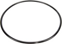 Pentair 87300400 Body O-Ring
