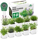 Indoor Herb Garden Kit – 10 Non-GMO Herb Seeds with Soil, Pots & Moisture Meter – Easy Windowsill Gardening Starter Set – Unique Gift for Gardeners, Home Chefs & Families