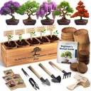 AVERGO Bonsai Tree Kit for Beginners – 5X Unique Japanese Bonzai Trees | Complete Indoor Starter Kit for Growing Plants with Bonsai Seeds, Tools & Planters – Gardening Gifts for Women & Men