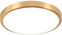 Golden LED Ceiling Light Modern and Simple Circular Dimmable Embedded Ceiling Lamp Interior Lighting for Bedroom and Living Room Balcony